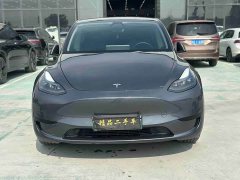 Tesla Model Y Rear-Wheel Drive - ფოტო 2