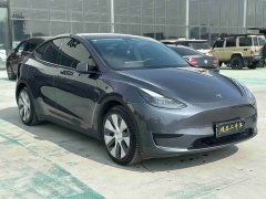 Tesla Model Y Rear-Wheel Drive - ფოტო 3