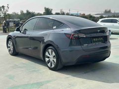 Tesla Model Y Rear-Wheel Drive - ფოტო 7