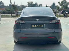 Tesla Model Y Rear-Wheel Drive - ფოტო 8