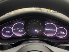 Porsche Panamera 2.9T - ფოტო 13