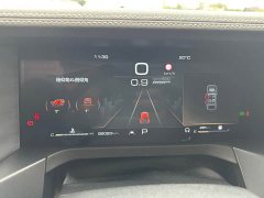 Tank 300 2.0T Challenger - ფოტო 14