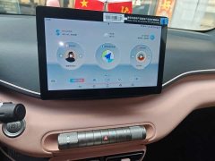 BYD Seagull Freedom Edition - ფოტო 9