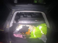 SAIC Roewe RX5 PLUS 330TGI Auto Trendsetter Smart Enjoy Edition - ფოტო 15