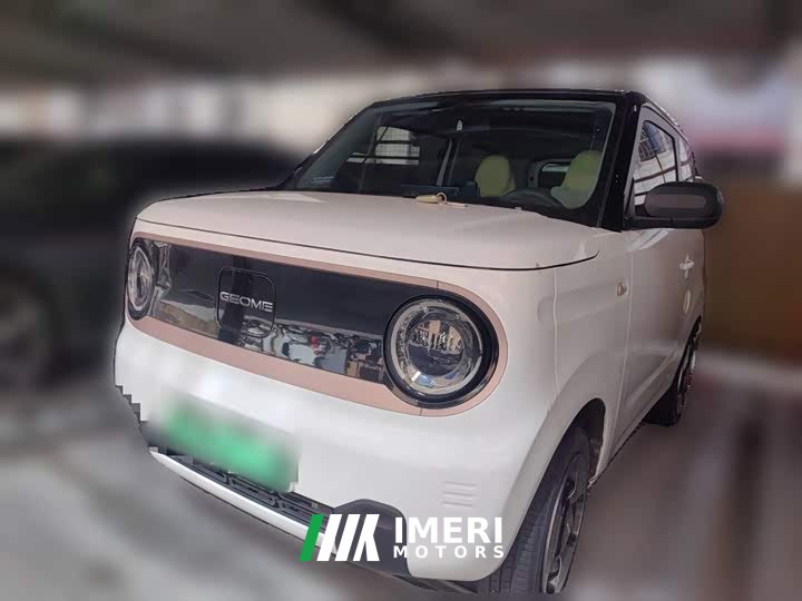 Geely Panda Mini New Spring Edition Treasure Bear
