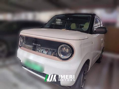 2023 Geely Panda Mini New Spring Edition Treasure Bear - ავტომობილი ჩინეთიდან