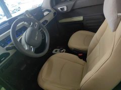 Geely Panda Mini New Spring Edition Treasure Bear - ფოტო 11