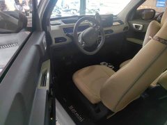 Geely Panda Mini New Spring Edition Treasure Bear - ფოტო 12