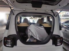 Geely Panda Mini New Spring Edition Treasure Bear - ფოტო 15