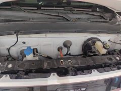 Geely Panda Mini New Spring Edition Treasure Bear - ფოტო 16