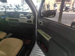 Geely Panda Mini New Spring Edition Treasure Bear - ფოტო 19