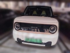 Geely Panda Mini New Spring Edition Treasure Bear - ფოტო 2