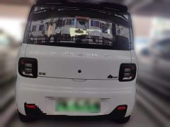 Geely Panda Mini New Spring Edition Treasure Bear - ფოტო 3