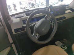 Geely Panda Mini New Spring Edition Treasure Bear - ფოტო 6