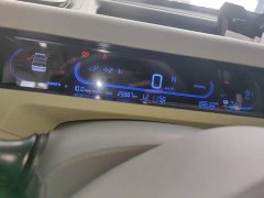 Geely Panda Mini New Spring Edition Treasure Bear - ფოტო 8