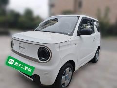 Geely Panda Mini 200km Endurance Edition - ფოტო 1