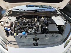 Changan Eado Blue Whale 1.5T 500Bar Luxury - ფოტო 16