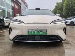 BYD Seal 07 DM-i 1.5T 230km Flagship - ფოტო 2