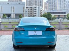 Tesla Model 3 Rear-Wheel Drive - ფოტო 8