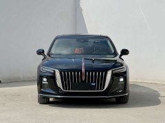 FAW Hongqi H5 2.0T Auto Qixiang Edition - фото 2