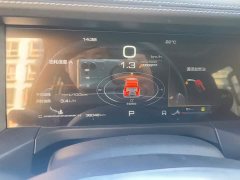 Tank 300 2.0T Challenger - ფოტო 14