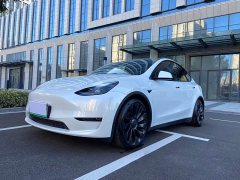 Tesla Model Y High Performance All-Wheel Drive - photo 1