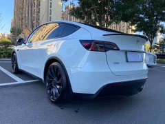 Tesla Model Y High Performance All-Wheel Drive - photo 3