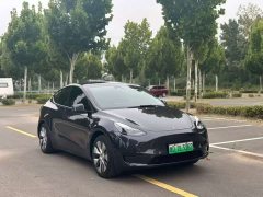 Tesla Model Y Rear-Wheel Drive - ფოტო 2