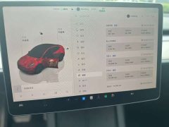 Tesla Model Y Rear-Wheel Drive - ფოტო 5