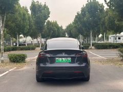Tesla Model Y Rear-Wheel Drive - ფოტო 8