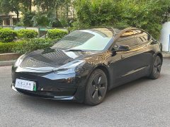 Tesla Model 3 Standard Range RWD Upgrade - ფოტო 1