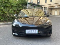 Tesla Model 3 Standard Range RWD Upgrade - ფოტო 2