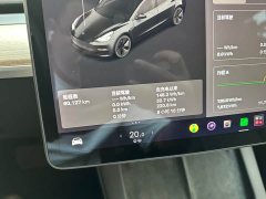 Tesla Model 3 Standard Range RWD Upgrade - ფოტო 9