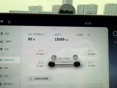 NIO ES9 102kWh Executive Island Signature Edition - photo 15