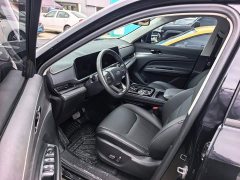 Ford Lingrui EcoBoost 170 Comfort Edition - ფოტო 9