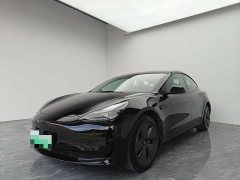 Tesla Model 3 Rear-Wheel Drive - ფოტო 1