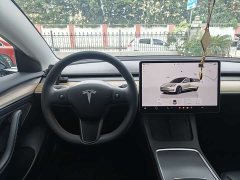 Tesla Model 3 Rear-Wheel Drive - ფოტო 11