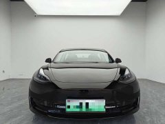 Tesla Model 3 Rear-Wheel Drive - ფოტო 2