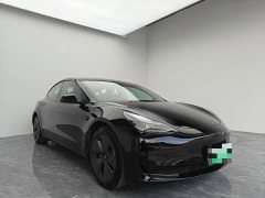 Tesla Model 3 Rear-Wheel Drive - ფოტო 3
