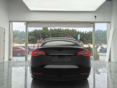 Tesla Model 3 Rear-Wheel Drive - ფოტო 5