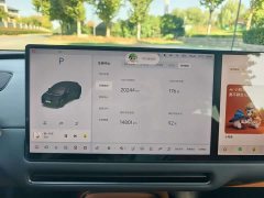 Li Auto i6 Two-Wheel Drive Standard - photo 10