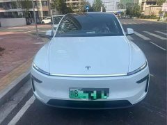 Tesla Model Y Long Range Rear-Wheel Drive - ფოტო 2