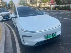 Tesla Model Y Long Range Rear-Wheel Drive - ფოტო 3
