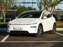 Tesla Model Y L Long Range AWD - ფოტო 1