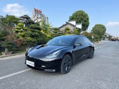 Tesla Model 3 Facelift Standard Range RWD Upgrade 3D1 - ფოტო 1