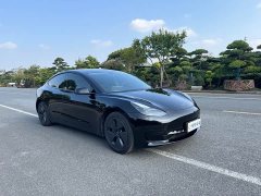 Tesla Model 3 Facelift Standard Range RWD Upgrade 3D1 - ფოტო 2