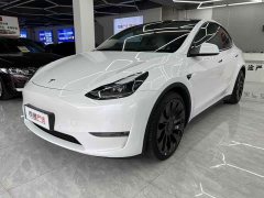 Tesla Model Y Performance All-Wheel Drive - ფოტო 1