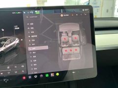 Tesla Model Y Performance All-Wheel Drive - ფოტო 10