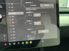Tesla Model Y Performance All-Wheel Drive - ფოტო 11