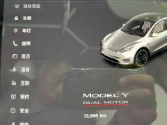 Tesla Model Y Performance All-Wheel Drive - ფოტო 12